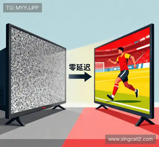 我们的风险管理